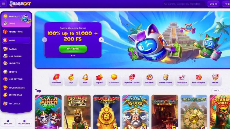 Wintino Casino platform screenshot for NZ
